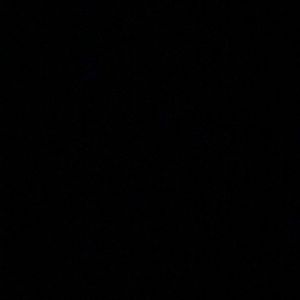 Meet your Posher, Ariana